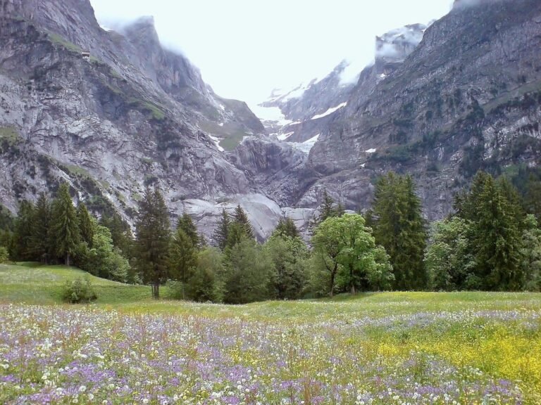Bernese Alps landscape with high mountain pasture
