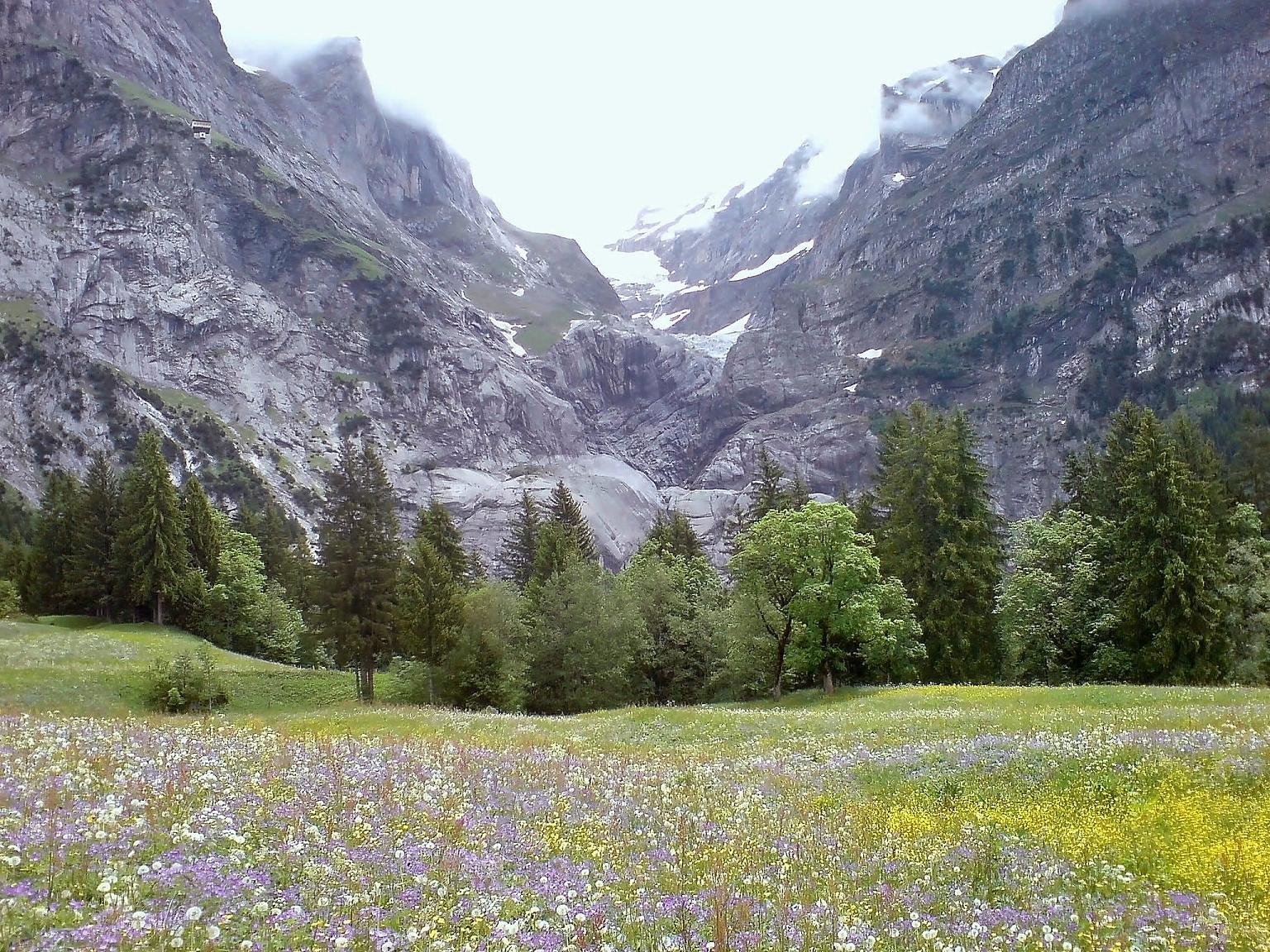 Bernese Alps landscape with high mountain pasture